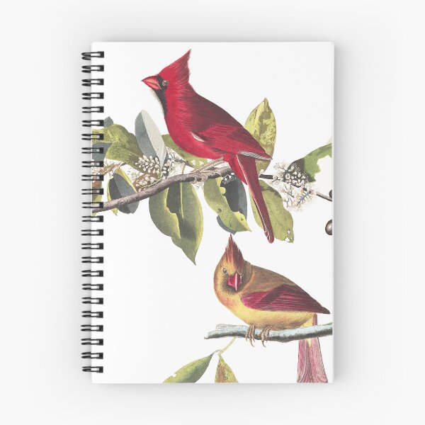 Item preview,  Northern Cardinal - John James Audubon  designed and sold by billythekidtees.
