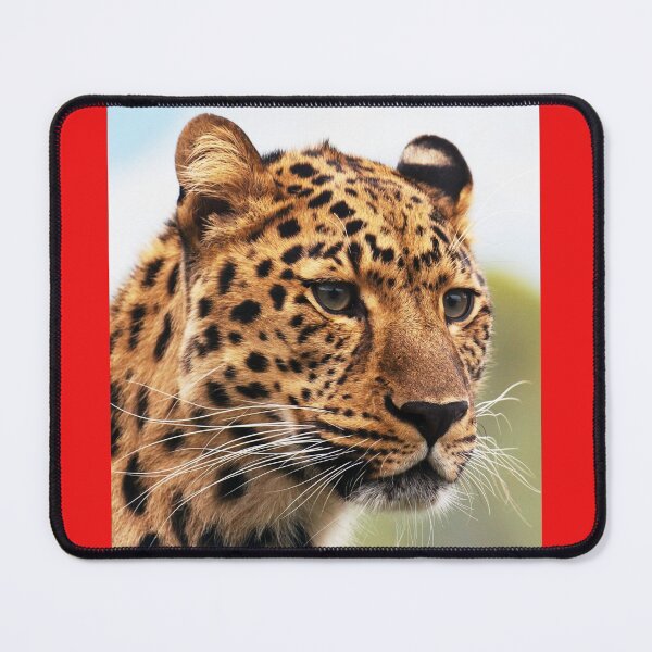 Item preview, felines ,animals#luk&arts animal collection,Dea gift for those you like designed and sold by LUK0arts.