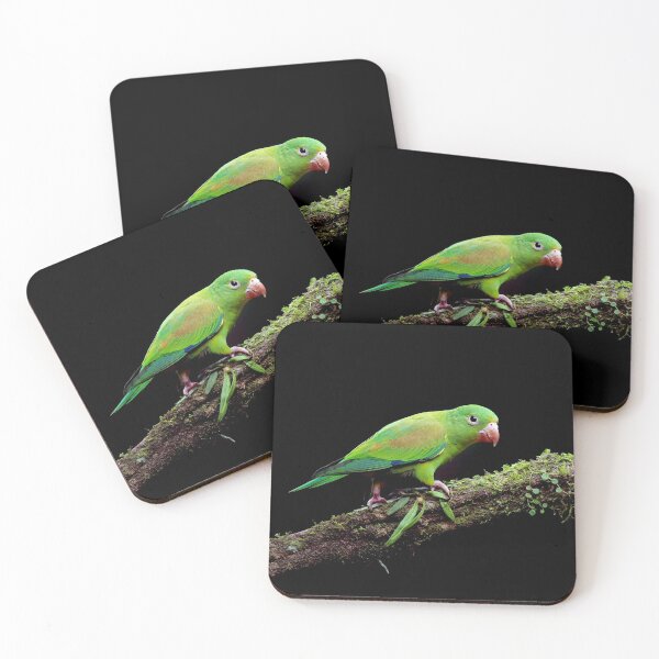 Item preview, Orange-Chinned Parakeet designed and sold by mlorenz.