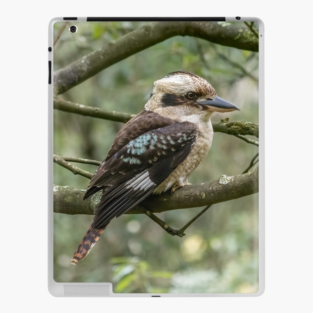 Item preview, iPad Skin designed and sold by barrycallister.