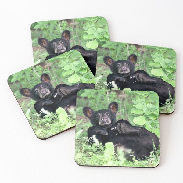 Item preview, Black Bear Cub designed and sold by mlorenz.