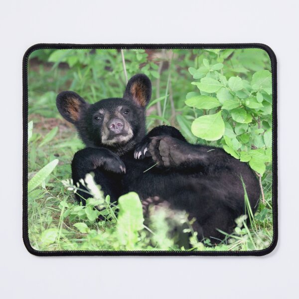 Item preview, Black Bear Cub designed and sold by mlorenz.