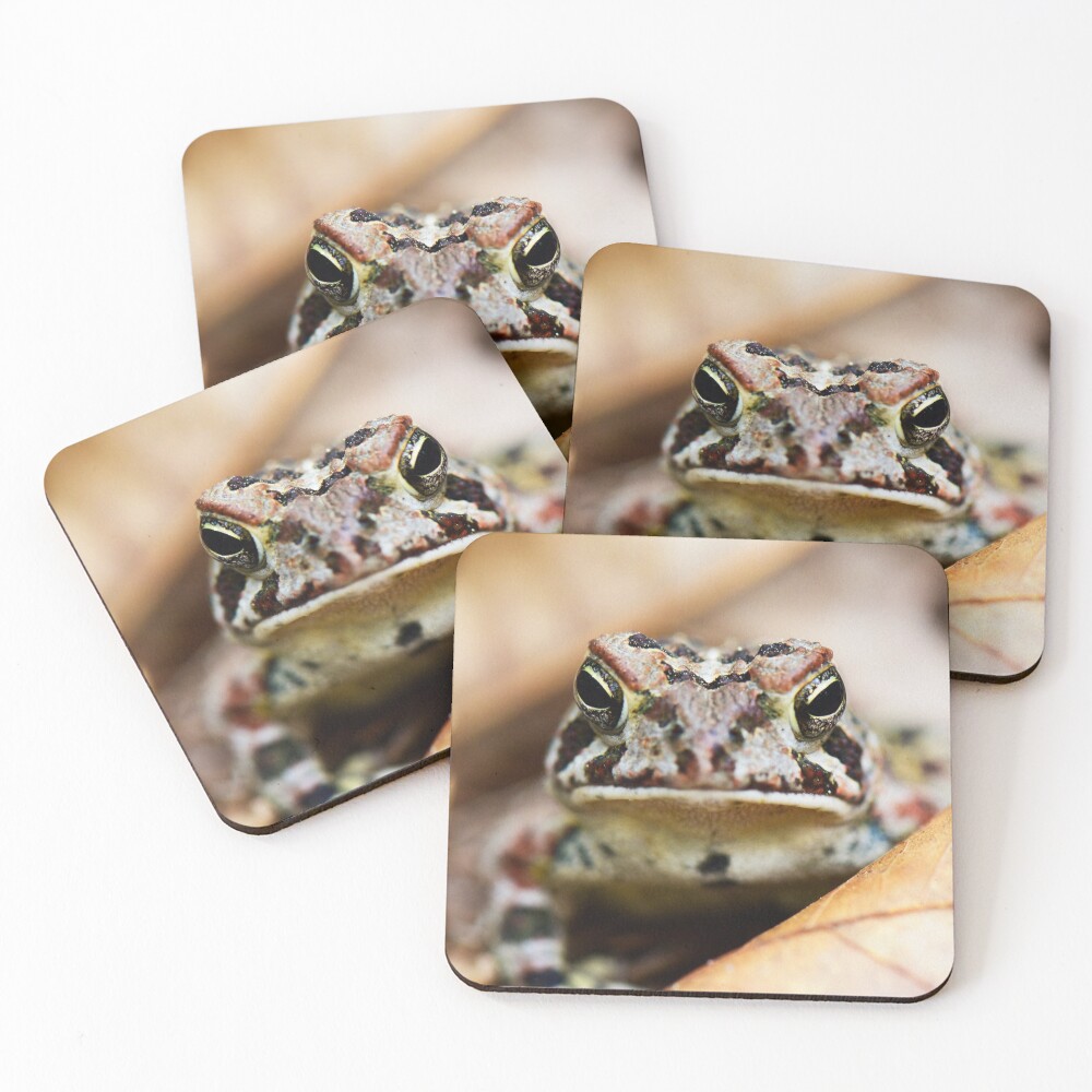 Item preview, Coasters (Set of 4) designed and sold by ReptileAmphibia.