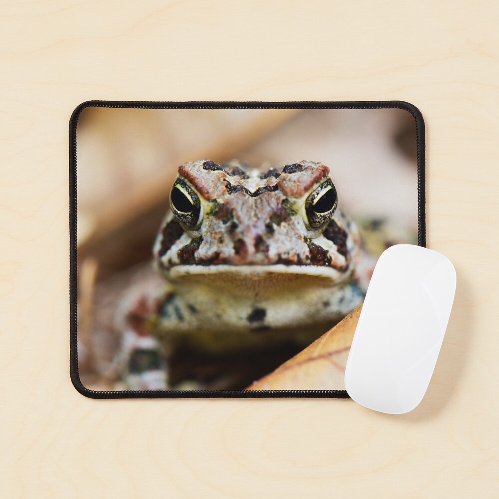 Item preview, Mouse Pad designed and sold by ReptileAmphibia.