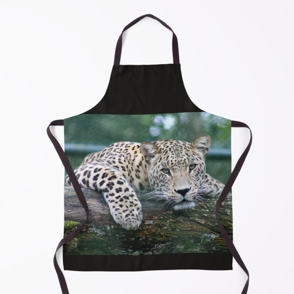 Item preview, felines ,animals#luk&arts animal collection,Dea gift for those you like designed and sold by LUK0arts.