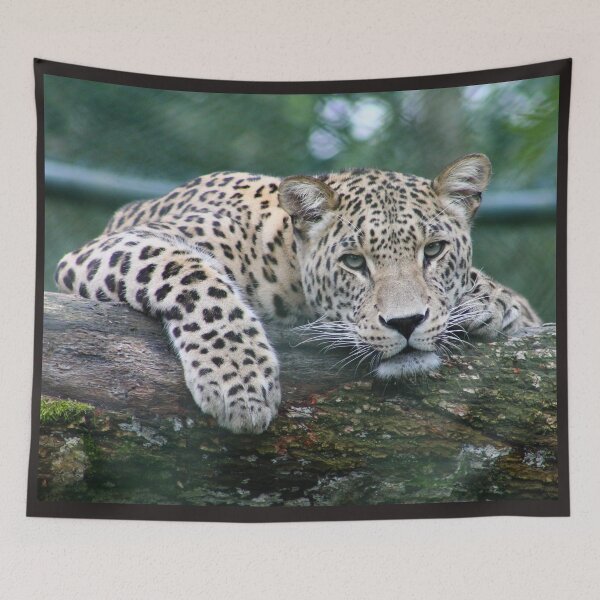 Item preview, felines ,animals#luk&arts animal collection,Dea gift for those you like designed and sold by LUK0arts.