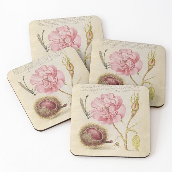Item preview, Damselfly, Rose, Chestnut, and Spider: ca 1500's designed and sold by ebrawne.