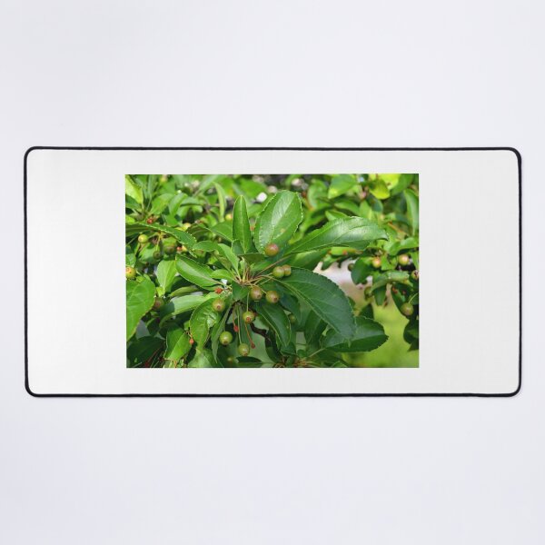 Item preview, Seeds and Green Leaves designed and sold by shadowspeeder.