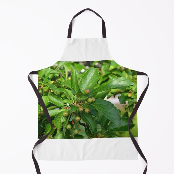Item preview, Seeds and Green Leaves designed and sold by shadowspeeder.