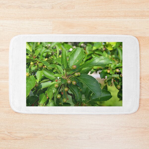 Item preview, Seeds and Green Leaves designed and sold by shadowspeeder.