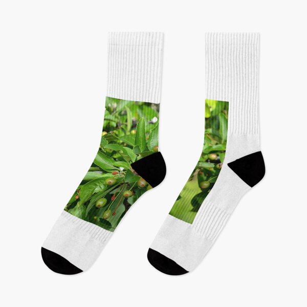 Item preview, Seeds and Green Leaves designed and sold by shadowspeeder.