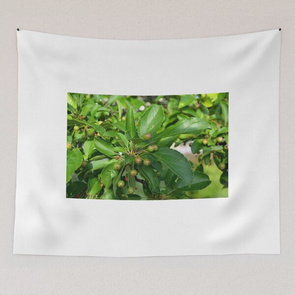 Item preview, Seeds and Green Leaves designed and sold by shadowspeeder.