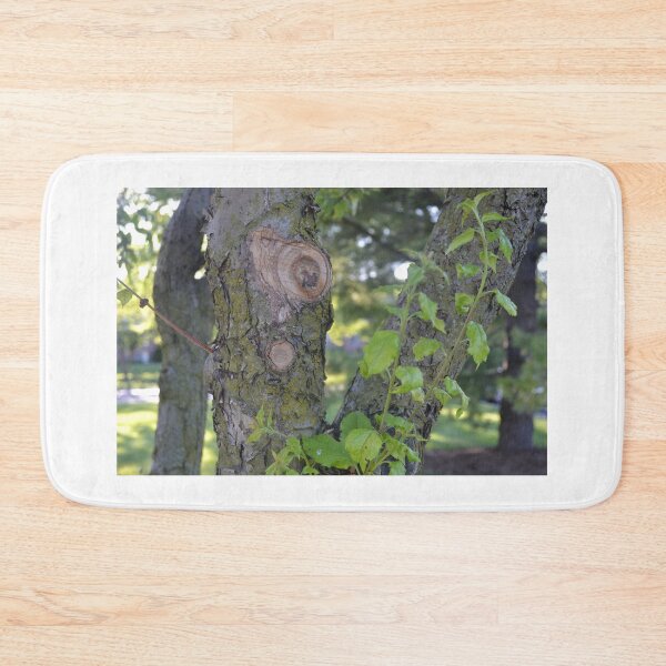Item preview, Tree Stump and Green Leaves designed and sold by shadowspeeder.