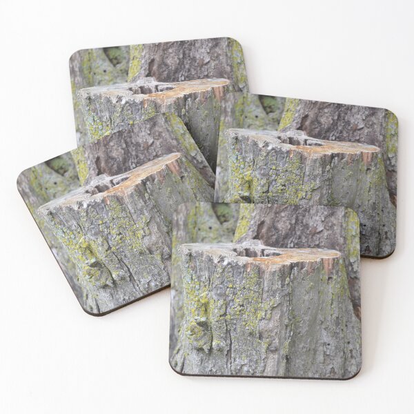 Item preview, Tree Stump designed and sold by shadowspeeder.
