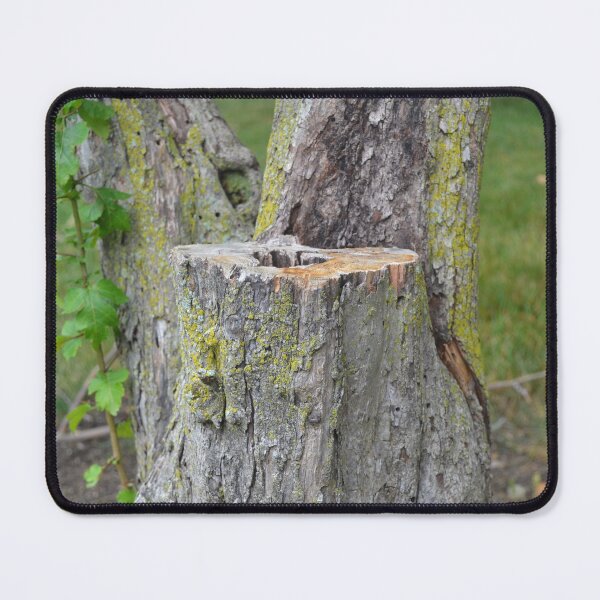 Item preview, Tree Stump designed and sold by shadowspeeder.