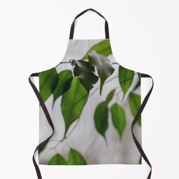 Item preview, Ficus houseplant leaves close-up, light background designed and sold by anstey.