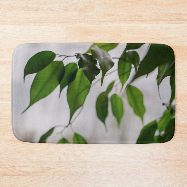 Item preview, Ficus houseplant leaves close-up, light background designed and sold by anstey.