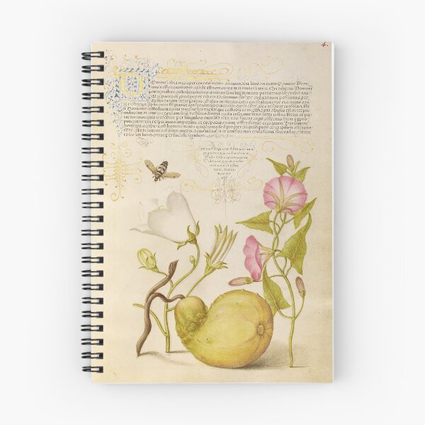 Item preview, Fly, Flowers, Gourd: Hoefnagel designed and sold by ebrawne.