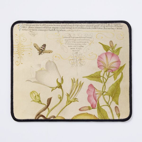 Item preview, Fly, Flowers, Gourd: Hoefnagel designed and sold by ebrawne.