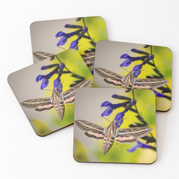 Item preview, Hummingbird Moth designed and sold by JoshuaBroken.