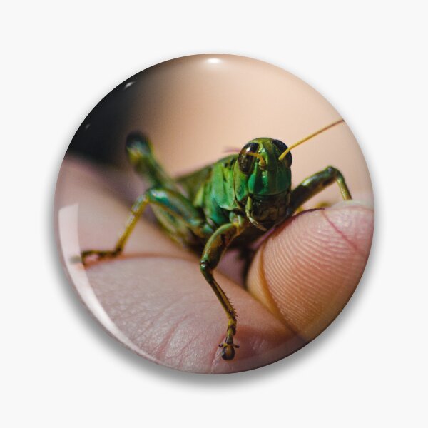 Item preview, Grasshopper designed and sold by JoshuaBroken.