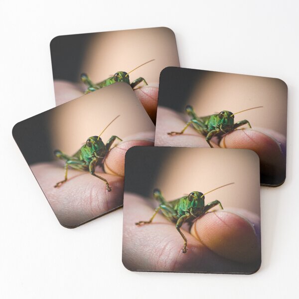 Item preview, Grasshopper designed and sold by JoshuaBroken.