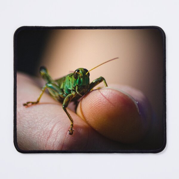 Item preview, Grasshopper designed and sold by JoshuaBroken.