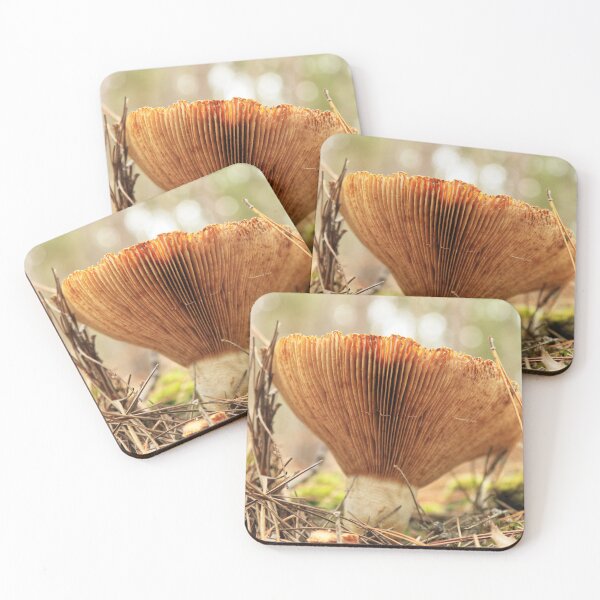 Item preview, Reaching up designed and sold by Chris Coates Photography.com.