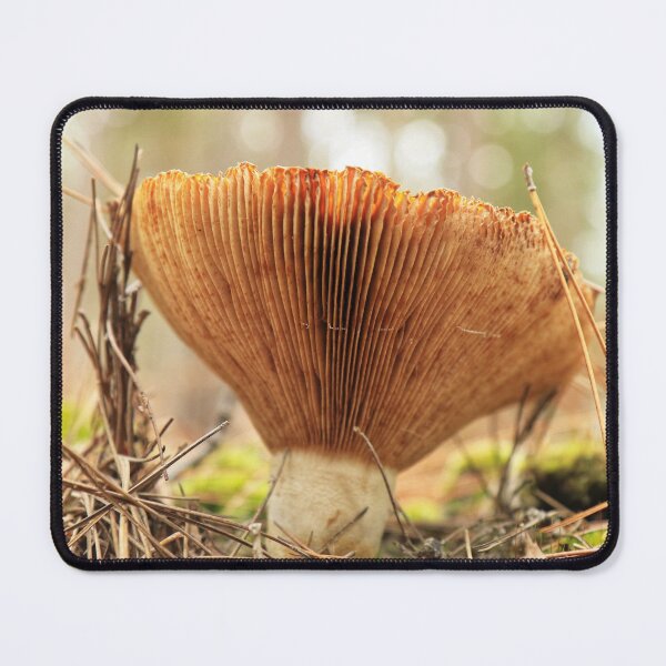 Item preview, Reaching up designed and sold by Chris Coates Photography.com.