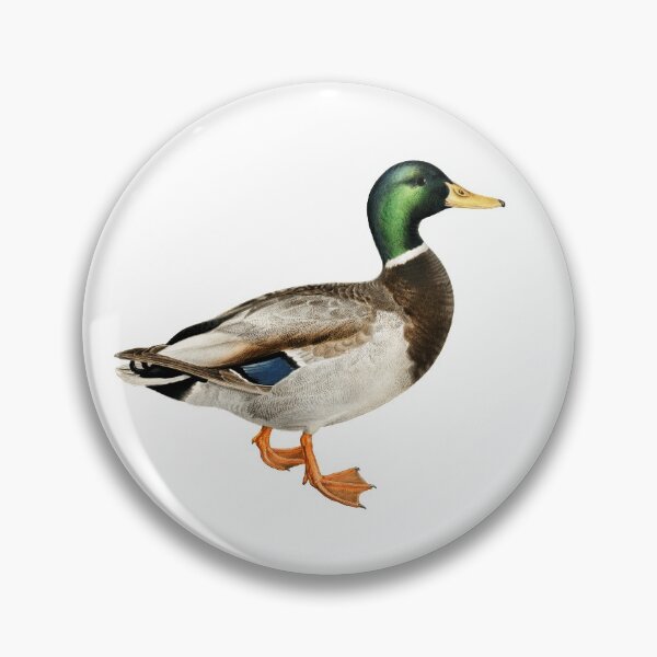 Item preview, Vintage Mallard Illustration designed and sold by javaqueen01.