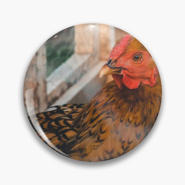 Item preview, Chicken roaming the Coop designed and sold by Michael Deemer.