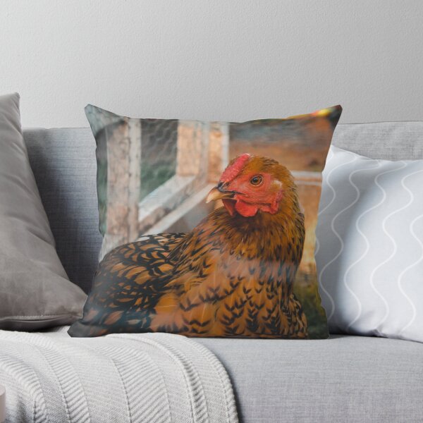 Chicken feather shop pillows for sale