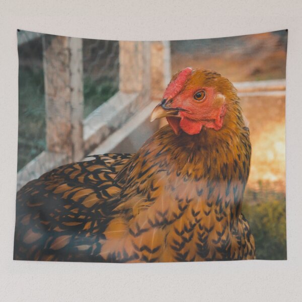 Item preview, Chicken roaming the Coop designed and sold by Michael Deemer.