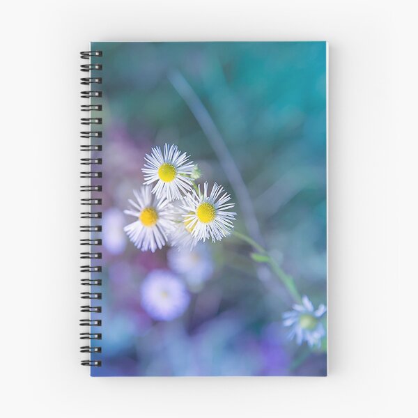 Item preview, Flower and cold background designed and sold by Stéphane  Thirion.