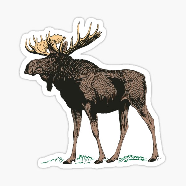 Moose Crossing Minnesota Wild art shirt