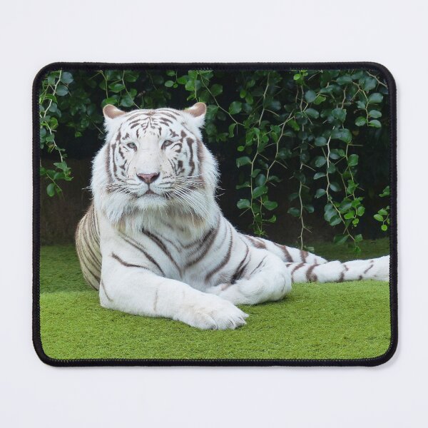 Item preview, felines ,animals#luk&arts animal collection,Dea gift for those you like designed and sold by LUK0arts.