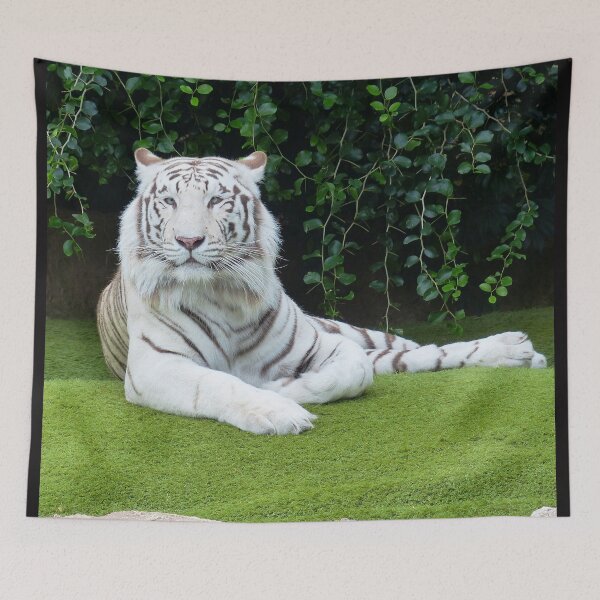Item preview, felines ,animals#luk&arts animal collection,Dea gift for those you like designed and sold by LUK0arts.