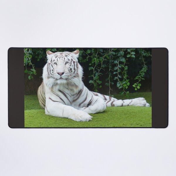 Item preview, felines ,animals#luk&arts animal collection,Dea gift for those you like designed and sold by LUK0arts.