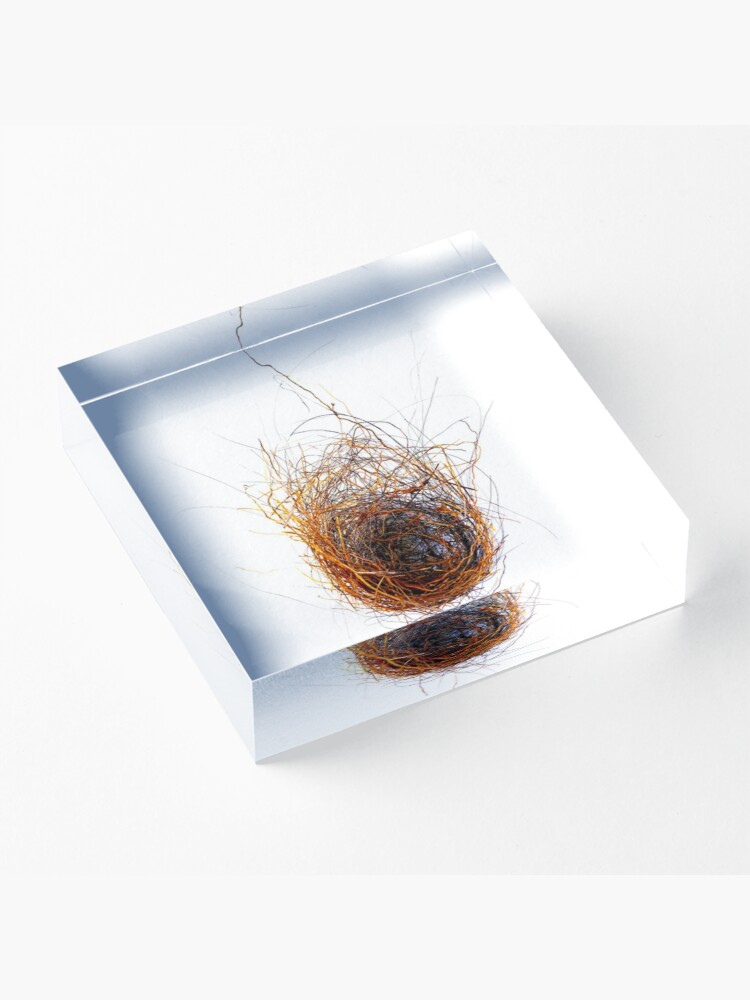 Alternate view of Nest Acrylic Block