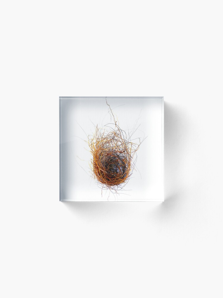 Alternate view of Nest Acrylic Block