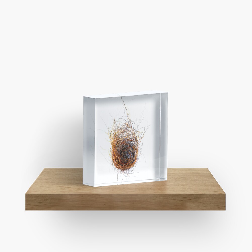 Nest Acrylic Block