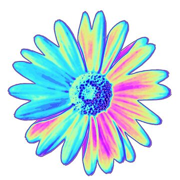 Artwork thumbnail, Holographic Daisy by dinaaaaaah