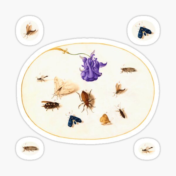 Some insects and a flower from a 16th Century book Sticker