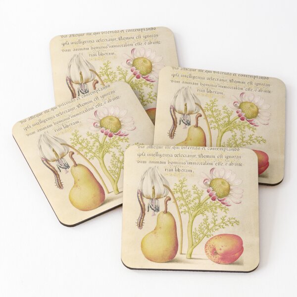 Item preview, Fruit and Flowers: Hoefnagel designed and sold by ebrawne.