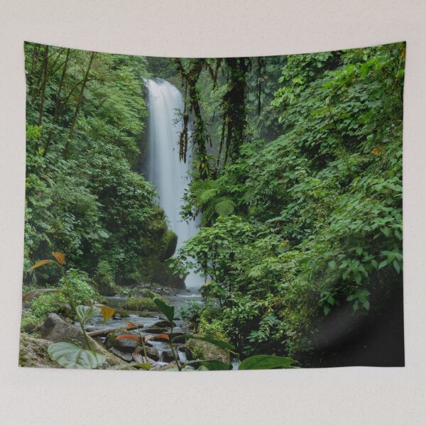 Item preview, Costa Rica Waterfall Rainforest designed and sold by SafariByMarisa.