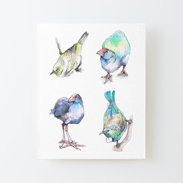 New Zealand Birds Canvas Mounted Print