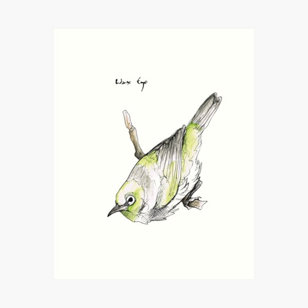 Wax Eye Art Print