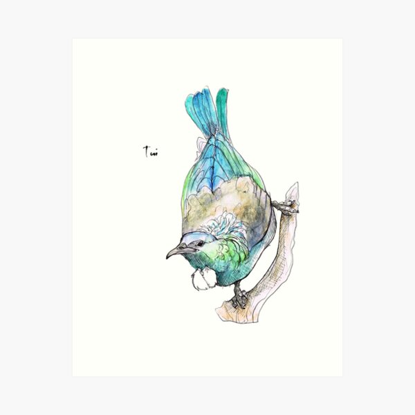 Tui Art Print