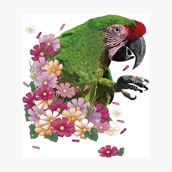 Item preview, military macaw designed and sold by obscurite.