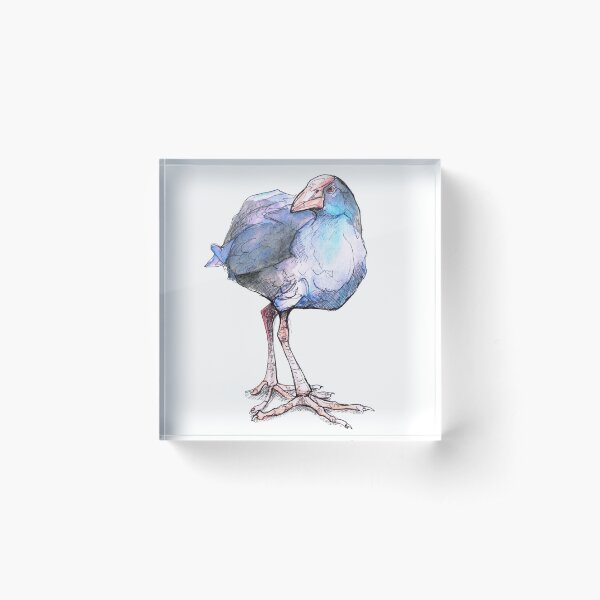Pukeko (old version) Acrylic Block